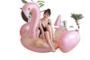 Cross-border Internet celebrity photo style: Pink and tender girl, sequined large flamingo, big mount, adult inflatable toy Item Picture